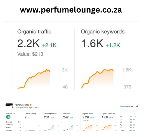 Organic Traffic Growth